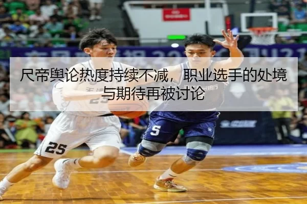 尺帝舆论热度持续不减，职业选手的处境与期待再被讨论